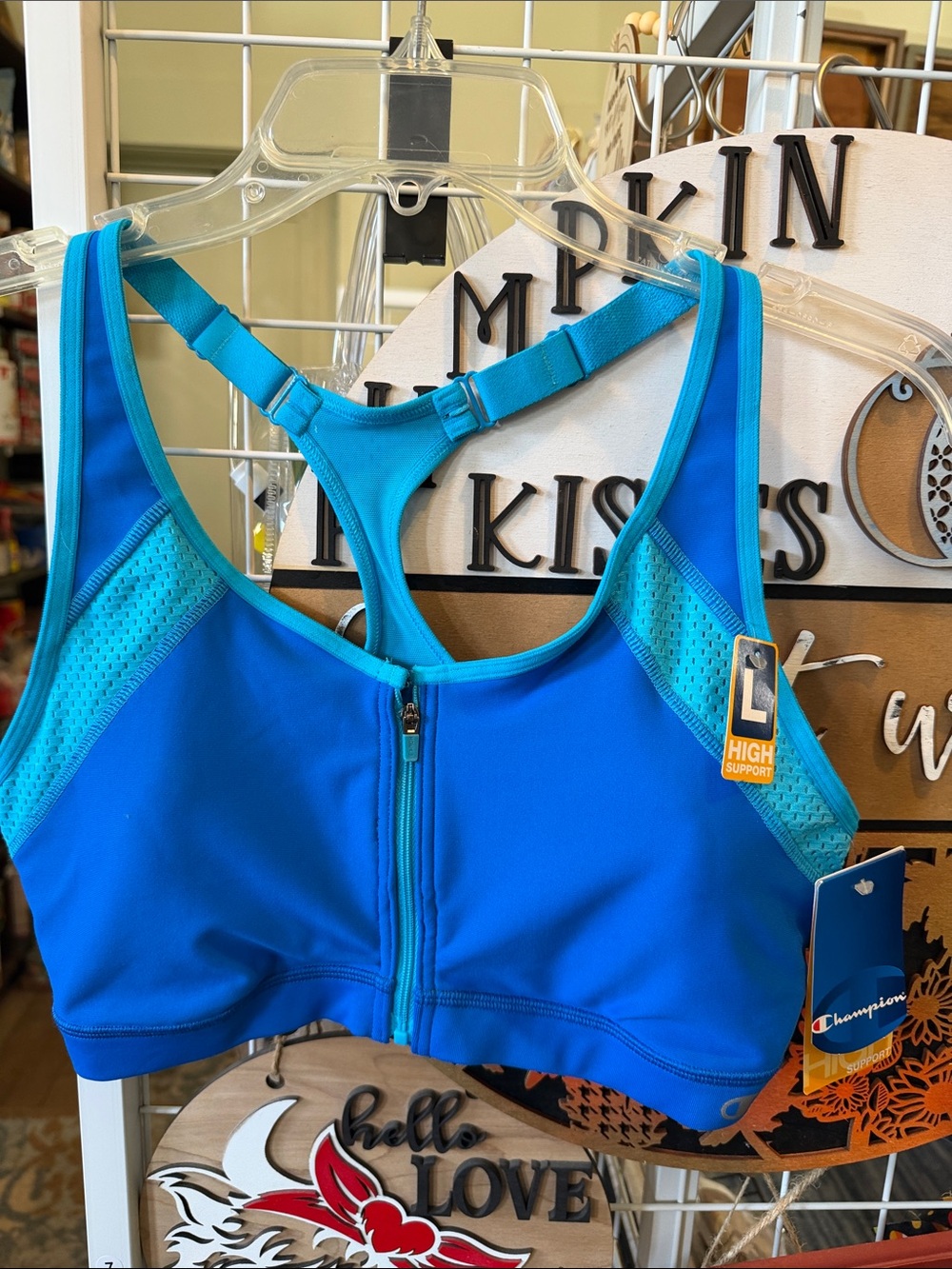 Champion Front-Zip High Support Sports Bra - Teal Blue